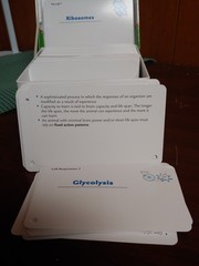 Barron’s AP Biology Flash Cards by Deborah T. Goldberg (2011, Cards,Flash Cards)