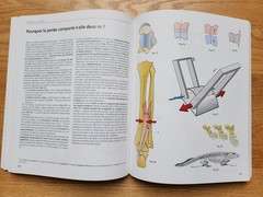 Anatomie Fonctionnelle – A.I. Kapandji – 7th Edition – 3-Volume Set – French