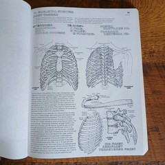 Lot Of 3 Science Coloring Books Biology Anatomy Zoology Vintage