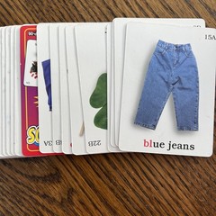 Artic Photos Fun Decks l Blends by Sharon Webber (2001, Cards,Flash Cards)