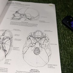The Anatomy Coloring Book (2nd Edition), Kapit, Wynn; Elson, Lawrence M., Used;