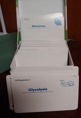 Barron’s AP Biology Flash Cards by Deborah T. Goldberg (2011, Cards,Flash Cards)