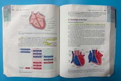 Language of Medicine Ser.: Language of Medicine by Davi-Ellen Chabner (2006)