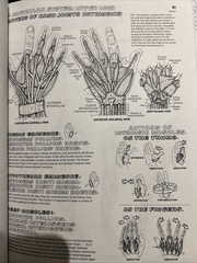 Anatomy : Coloring Book by Wynn Kapit and Lawrence M. Elson (1997, Trade…