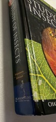Introduction to the Study of Insects 7th Edition Textbook Triplehorn Thomson