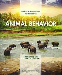 Animal Behavior: International Edition by Alcock, John Paperback / softback The