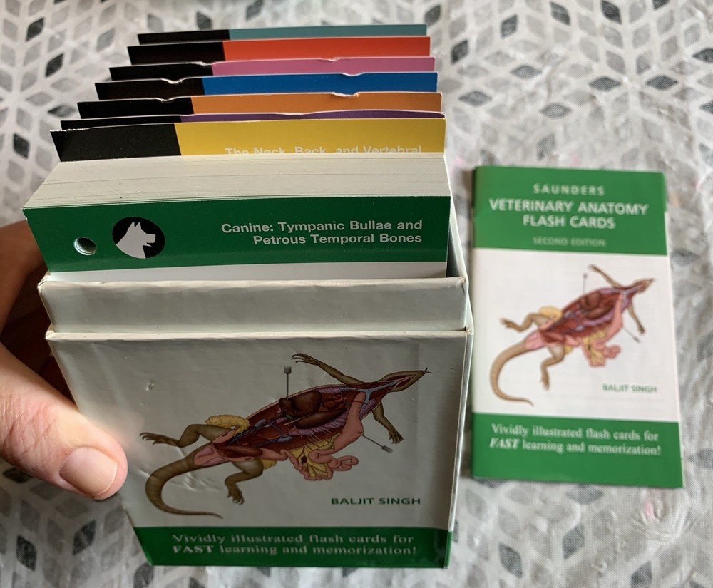 Veterinary Anatomy Flash Cards by Baljit Singh 2015 Cards Flash Cards Elsevier