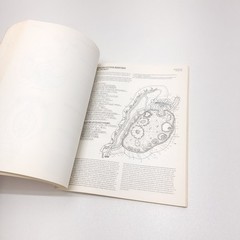 The Anatomy Coloring Book – Paperback By Kapit, Wynn 1977 Unused