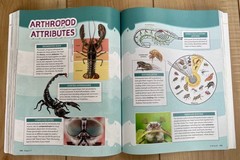 BJU Biology, Student Textbook and Lab Manual, 6th edition. Very Good Condition