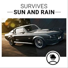 CAR GUYS Plastic Restorer Solution for Bringing Rubber Vinyl & Plastic 8 oz