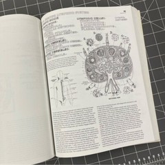 Vintage 1993 Anatomy Coloring Book Wynn Kapit/Lawrence M. Elson 2nd Edition