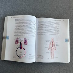 Language of Medicine by Davi-Ellen Chabner, 11th Edition (2016, Trade Paperback)