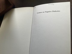 Theodor W. Adorno Lectures on Negative Dialectics
