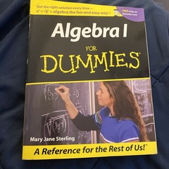 Algebra I for Dummies by Mary Jane Sterling (2001, Trade Paperback)