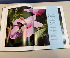 Birds Birds Birds (5): Boreal Birds of North America/Birds in Bloom/Canaries…