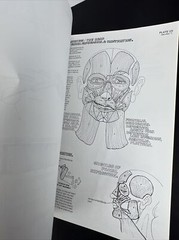 The Anatomy Coloring Book – Paperback By Kapit, Wynn 1977 Unused