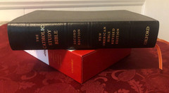 Catholic Study Bible, 2nd Ed. (2011, Bonded Leather/Thumb Indexed)