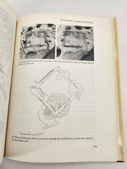 Danebury: Anatomy of an Iron Age Hillfort (Batsfo… by Cunliffe, Barry Hardback