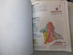 The Anatomy Coloring Book – Paperback By Kapit, Wynn – USED*