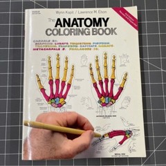 Vintage 1993 Anatomy Coloring Book Wynn Kapit/Lawrence M. Elson 2nd Edition