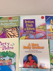 Scott Foresman Lot Of 19 Level 1 Readers #5.2.41