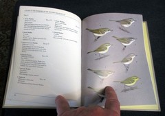 A Guide to the Warblers of the Western Palearctic – hardcover bcx