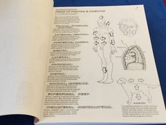 The ANATOMY Coloring Book 2nd Edition Revised & Expanded 1993 Kapit/Elson