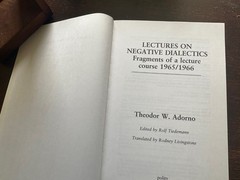 Theodor W. Adorno Lectures on Negative Dialectics