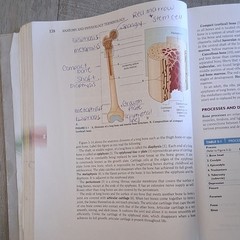 Davi-Ellen Chabner Anatomy & Physiology Terminology Paperback 2017 Illus 484p