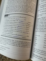 Understanding English Grammar