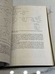 Bacterial Metabolism by Gottschalk, Gerhard Springer Verlag New York 1979 HC