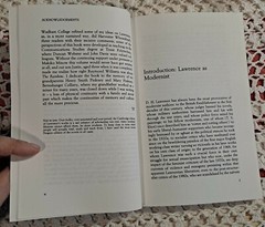 D. H. Lawrence & Modernism by Tony Pinkney, 1990 (1st Edition), PB, 180 pages