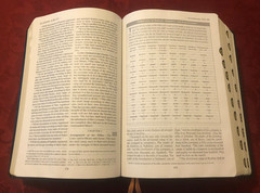 Catholic Study Bible, 2nd Ed. (2011, Bonded Leather/Thumb Indexed)