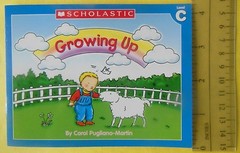 Childrens Books Phonics Set First Little Kindergarten Grade Homeschool Lot 60