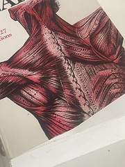 Gray’s Anatomy : The Unabridged Running Press Edition of the American Classic by