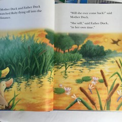 Phonics-Based READING STREET Grade 1 Book Set 1-5 Pearson Home School – Foresman