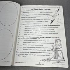 Literature Library Volume 5 Creative Ideas & Activity Sheets 1990 Workbook