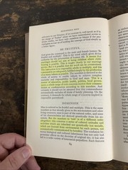 Beginning Now: A Christian Exploration Of Chapters One to Three of Genesis