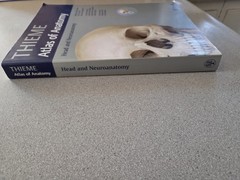 Thieme Atlas of Anatomy Ser.: Head and Neuroanatomy by Erik Schulte, Lawrence…