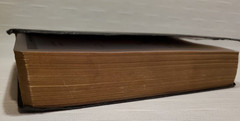 HOLY BIble, Zondervan, 2001, New International Version, ISBN 0-310-92616-5 GREAT