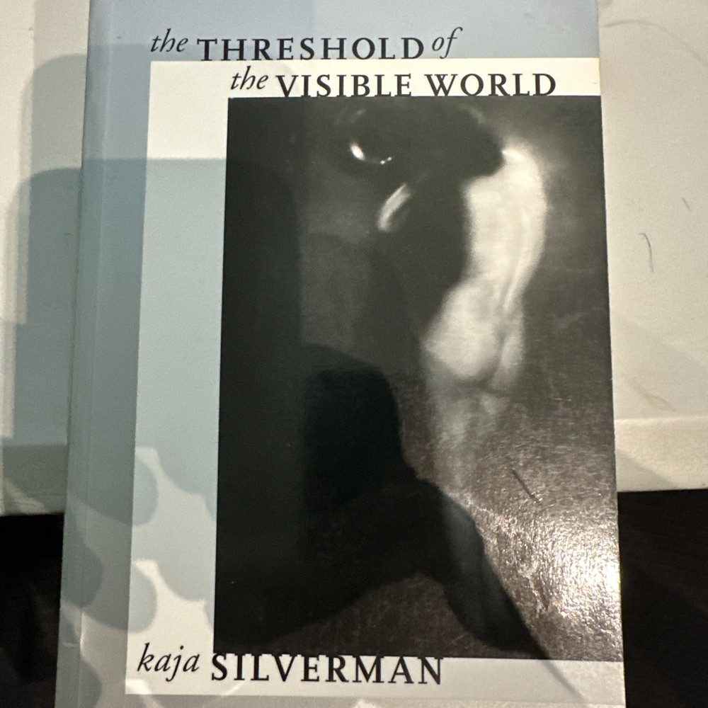 Threshold of the Visible World by Kaja Silverman (2007, Uk-B Format Paperback)