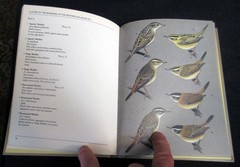 A Guide to the Warblers of the Western Palearctic – hardcover bcx