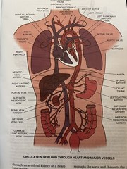 Taber’s Cyclopedic Medical Dictionary : Thumb-Indexed Version by Donald Venes…