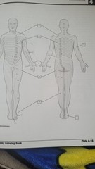 Netter Basic Science Ser.: Netter’s Anatomy Coloring Book Updated Edition by…