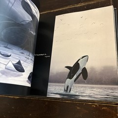 100 Wyland Whaling Walls by Not Available (2008, Hardcover)