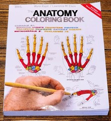 The Anatomy: Coloring Book by Lawrence M. Elson and Wynn Kapit, Second Edition
