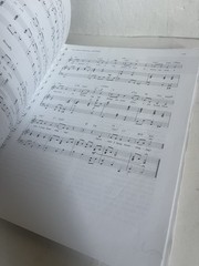 Singing Book by Cynthia Vaughn and Meribeth Bunch (2004, Trade Paperback Spiral)
