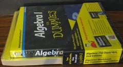 Algebra I for Dummies Book and Workbook 2nd Edition – Unused – Never Opened
