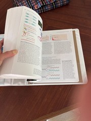 Biology of Cancer by Robert A. Weinberg (2013, Uk-B Format Paperback)