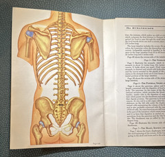 The Humanoscope of The Human Body Dr. Morris Fishbein 1949 illustrated Vintage